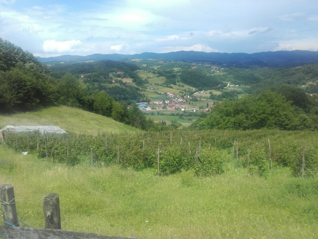 image-0.02.01.377370a0f457a6ac45c16088d3267780de6df2a2477d47e4288392e9f6e6a89b-V